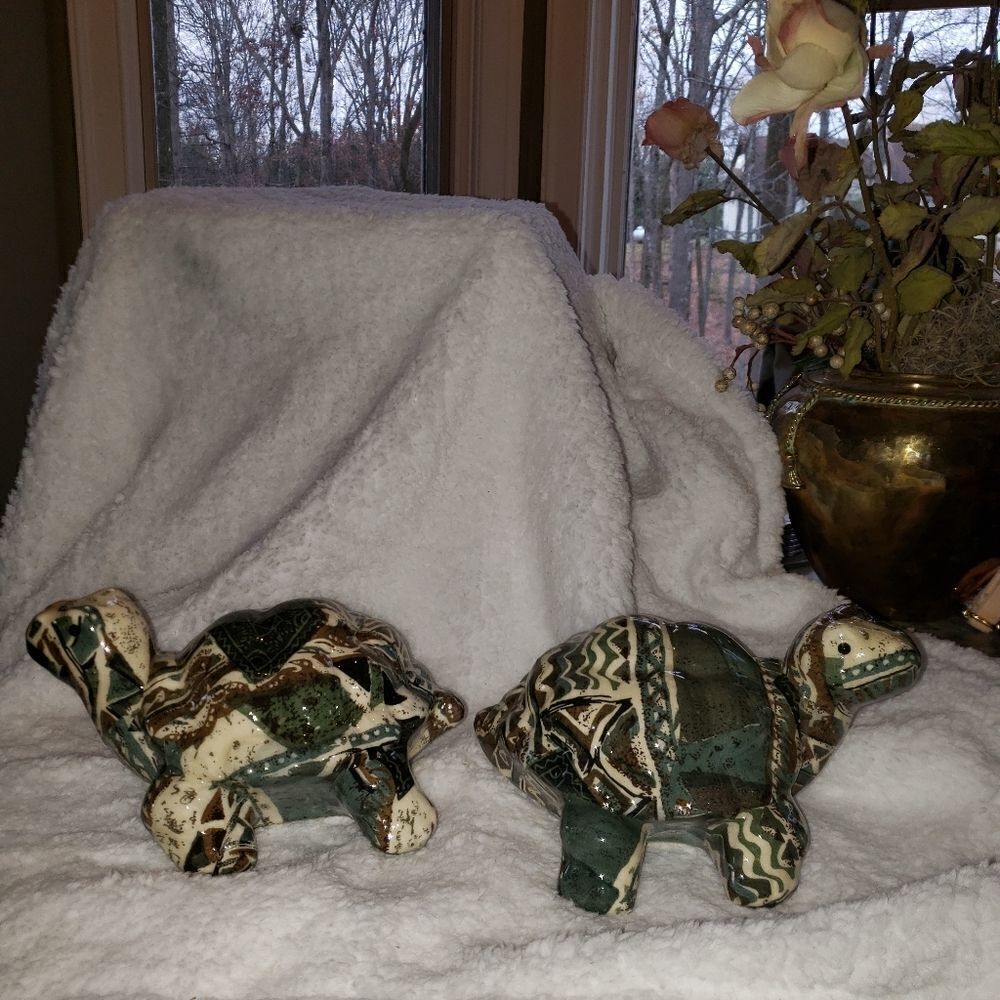 Turtles   - Picture 3 of 7